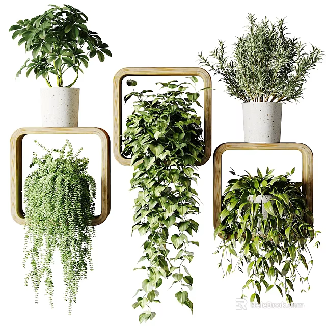Indoor Hanging Planter Green Plants With Wall Mounted Wooden Frames And Trailing Leaves 3d model 