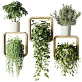 Indoor Hanging Planter Green Plants With Wall Mounted Wooden Frames And Trailing Leaves
