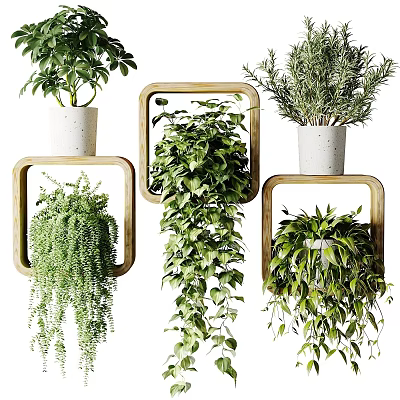 Indoor Hanging Planter Green Plants With Wall Mounted Wooden Frames And Trailing Leaves 3d model