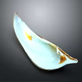 Beautiful Mollusk Shell Featuring White And Brown Hues On Black Surface