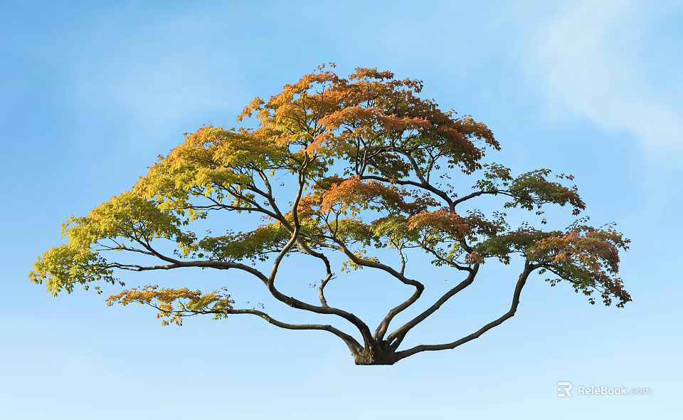 Tall Arbor With Yellow And Orange Leaves And Curved Branches Against Blue Sky 3d model 