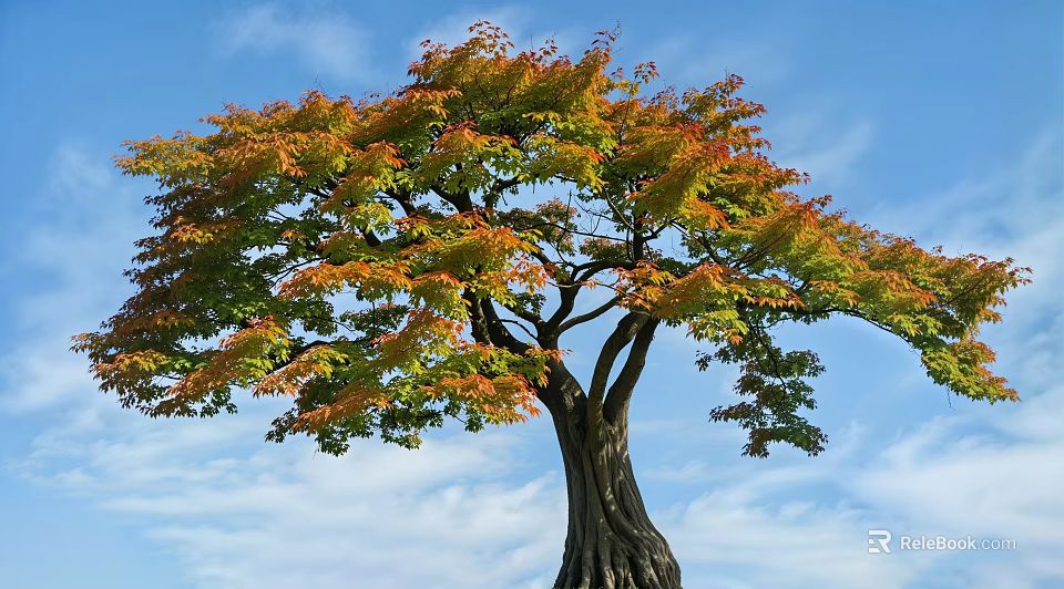 Vibrant Autumn Arbor with Orange Green Foliage and Thick Trunk Against Blue Sky 3d model 
