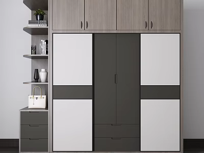 Modern Wardrobe Interior Design With Gray White Panels Drawers And Side Shelves With Books Plant 3d model