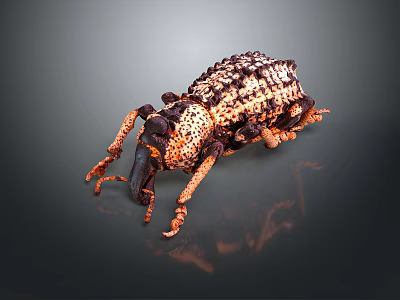Closeup View Of Spotted Beetle With Textured Exoskeleton And Long Orange Legs 3d model