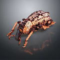 Closeup View Of Spotted Beetle With Textured Exoskeleton And Long Orange Legs