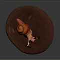 Snail Cartoon Snail Small Snail Reptile Cold Blooded Animal Reptile 3d model