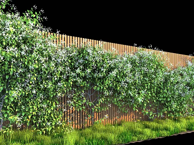 Vines Covering Wooden Fence With Green Leaves White Flowers And Grass 3d model