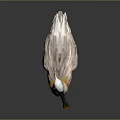 White Bird With Orange Chest And Long Black Beak Standing On Dark Background