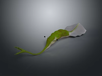 Green And White Abstract Creature Model With Long Curved Tail And Smooth Appendage 3d model