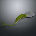 Green And White Abstract Creature Model With Long Curved Tail And Smooth Appendage