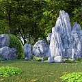 Natural Courtyard Garden With Rock Formations Trees Green Plants And Grass