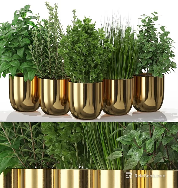 Decorative Ornament Set With Golden Pots And Fresh Herb Plants For Home Decor 3d model 