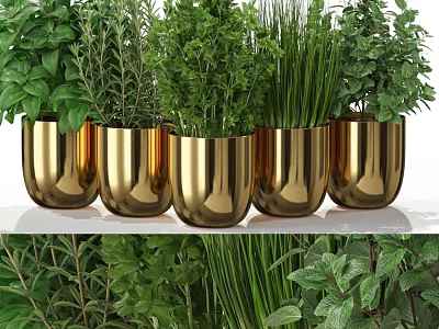 Decorative Ornament Set With Golden Pots And Fresh Herb Plants For Home Decor 3d model