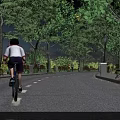 Scenic Road Facilities With Bicycle Lanes Street Lamps Trees And Lane Markings For Cyclists