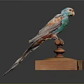 Colorful Parrot With Vibrant Feathers Perched On Wooden Display Stand