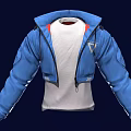 Hooded Blue Jacket With White Inner Layer Long Sleeves And Zipper Design 3d model