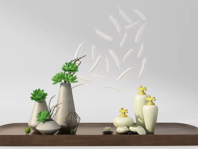 Stylish Decorative Ornament Set With Green Succulents Ceramic Vases And White Feathers On Wooden Tray 3d model