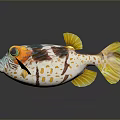Vibrant Pufferfish with Colorful Patterns Yellow Fins and Tail for Artistic Decorative