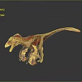 Fierce Feathered Dinosaur 3D Model With Open Mouth And Red Brown Plumage