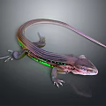 Colorful Striped Lizard With Green And Pink Hues On Gray Background