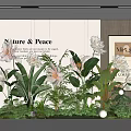 Modern Indoor Plant Combination With Green Leaves White Flowers And Decorative Lights