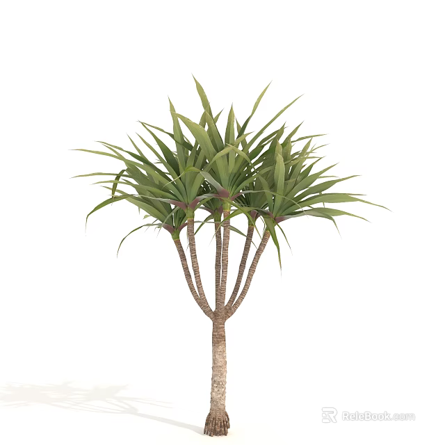 Lush Ornamental Tree with Multiple Trunks and Long Green Foliage 3d model 