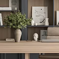 Modern Desk Interior With Bookshelves Books Photo Frames Decorations And Green Plant