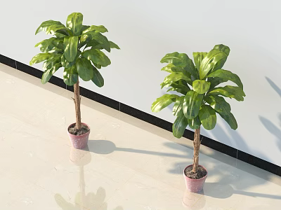 Green Potted Plants In Room Corner With Large Leaves Pink Pots White Walls Light Floor 3d model