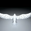 Black Crow With Spread Wings Flying Against Black Background And Gray Line Below