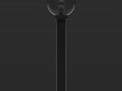 Modern Outdoor Light With Transparent Spherical Shade Black Pole And Exposed Bulb 3d model