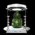 Circular Exhibition Display Shelf with Top Circular Sign Central Green Plant and Side Transparent Shelves