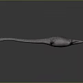 Realistic Plesiosaur Marine Reptile Model With Long Neck And Flippers
