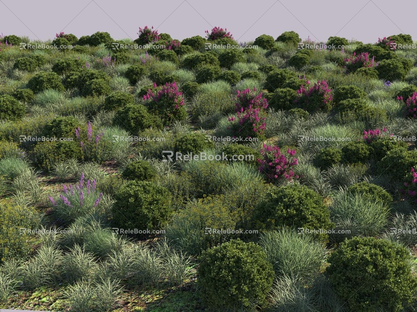 shrub combination preset shrub cr dispersal 3d model