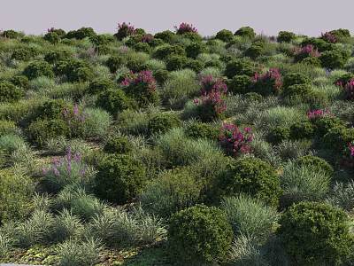 Lush Green Shrubs With Purple And Pink Flowers In Natural Garden View 3d model