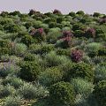 shrub combination preset shrub cr dispersal 3d model