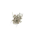 Elegant White Roses Arrangement in Black Vase with Green Leaves for Home Decor