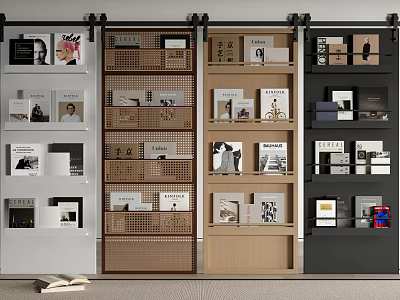 Barn Door In Interior With Display And Storage 3d model