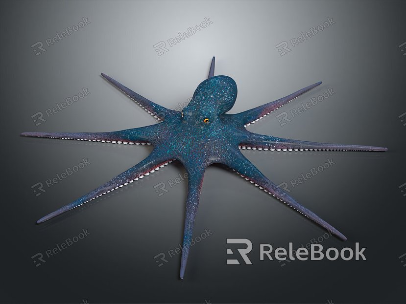 octopus cuttlefish octopus animal anime character game character model