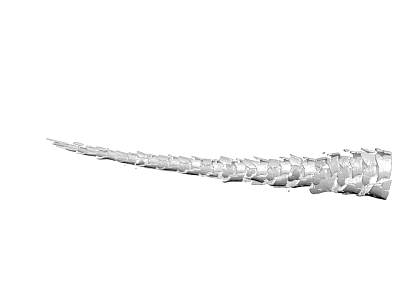 Silver Chain Like Structure With Scaled Segments In Curved Shape Design 3d model