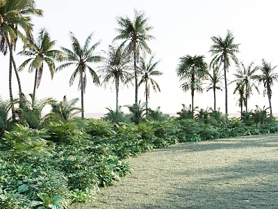 Tropical Plant Combination with Palm Trees and Lush Green Foliage in Outdoor Natural Landscape Design 3d model