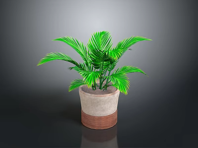 Indoor Green Potted Plant With Feathery Leaves In Brown And White Pot 3d model
