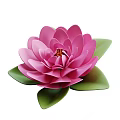 Vibrant Pink Lotus Flower with Fresh Green Leaves and Delicate Petals