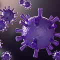 Modern virus 3d model