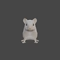 3D Wireframe Rat Character Model With Big Ears For Game And Movie Scenes