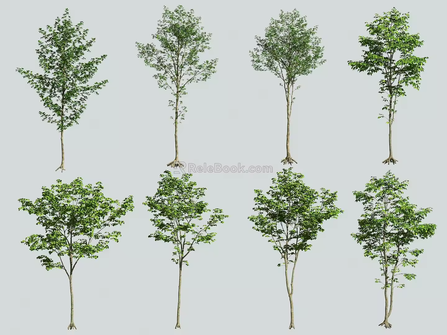 tree small tree landscape tree 3d model