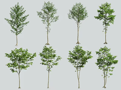 tree small tree landscape tree 3d model