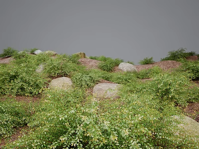 Lush Green Herbal Plants in Natural Grassland with Scattered Stones of Various Sizes 3d model