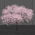 Modern Tree Landscape Tree 3d model