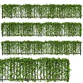 Lush Green Vines Covering Decorative Garden Fence For Outdoor Landscaping