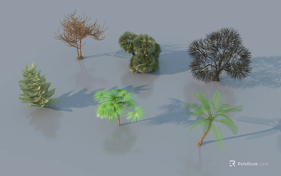 Different Arbor Tree Varieties Showcasing Various Leaf Types and Growth Forms 3d model